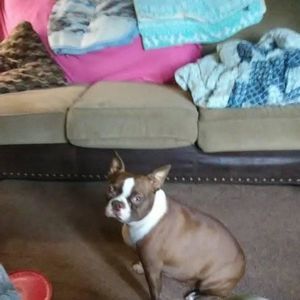 Meet your Posher, William